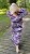 IMG-20240605-WA0057.jpg