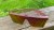 IMG-20240614-WA0015.jpg