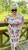 IMG_0077.jpeg