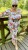 IMG_0142.jpeg