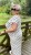 IMG_0176.jpeg