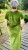 IMG_1782.jpeg