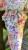 IMG_0990.jpeg