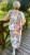 IMG_0998.jpeg