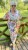 IMG_1004.jpeg