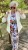 IMG_5495.jpeg