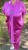 IMG_5948.jpeg