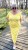 IMG_9309.jpeg