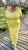 IMG_9329.jpeg