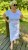 IMG_6468.jpeg