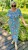 IMG_6519.jpeg