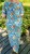 IMG_6514.jpeg