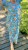 IMG_6476.jpeg
