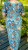 IMG_6509.jpeg