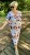IMG_6652.jpeg