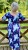 IMG_6615.jpeg