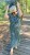 IMG_6828.jpeg