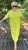 IMG_6871.jpeg