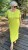 IMG_6849.jpeg