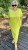IMG_6841.jpeg