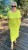 IMG_6838.jpeg