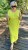 IMG_6860.jpeg
