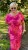IMG_6957.jpeg