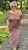 IMG_7008.jpeg