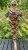 IMG_7314.jpeg