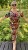IMG_7311.jpeg