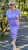 IMG_7619.jpeg