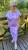 IMG_7584.jpeg