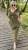 IMG_8227.jpeg
