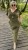 IMG_8227.jpeg