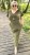IMG_8227.jpeg