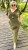 IMG_8227.jpeg