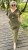 IMG_8227.jpeg